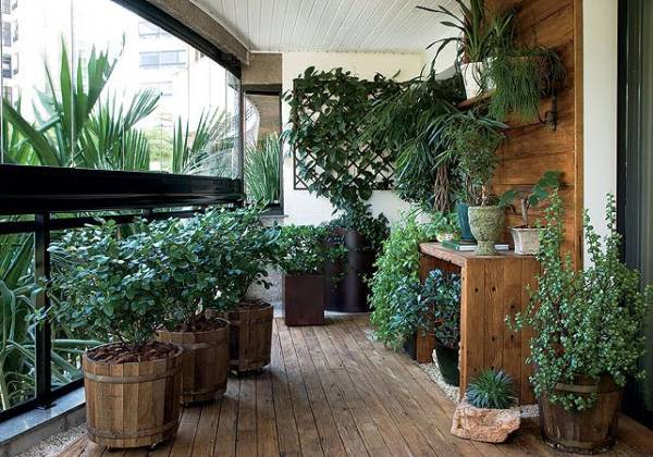 50 Varandas com Plantas com Decorações Inspiradoras para Casa e  Apartamento! — Decoração de Casa